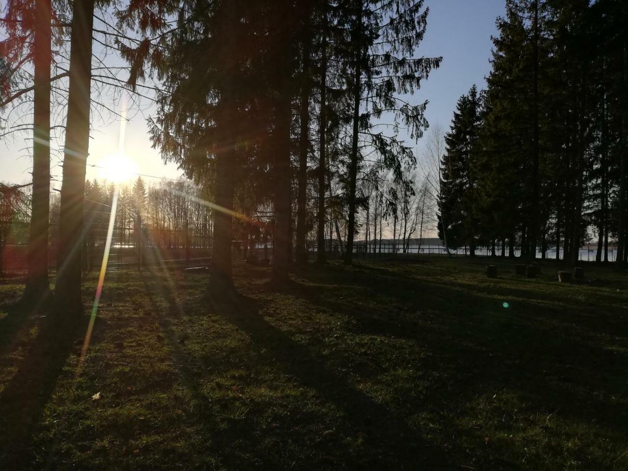 Birzai Camping Экстерьер фото